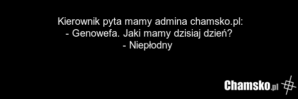Kierownik pyta mamy admina chamsko.pl: - Genowefa. Jaki mamy dzisiaj dzień? - Niepłodny