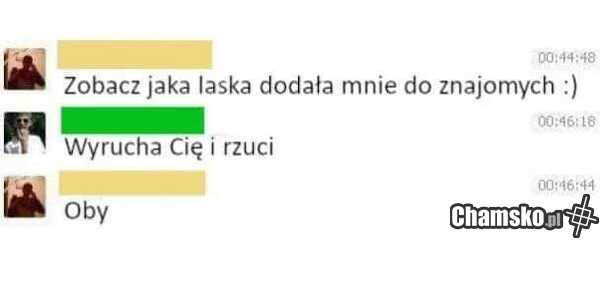 Nowa znajoma