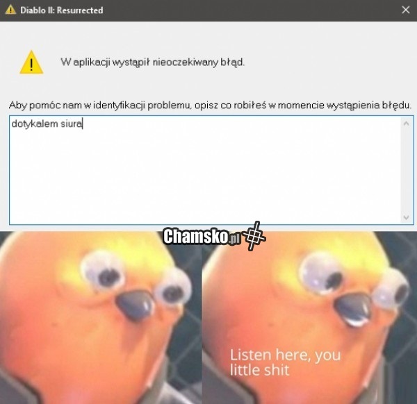 Awaria programu
