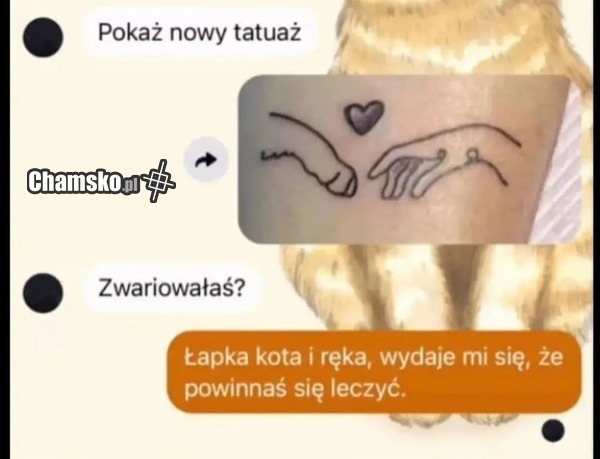 Łapka kota