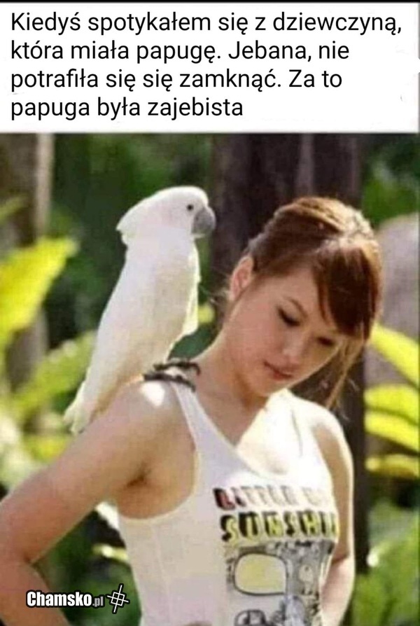 Papuga