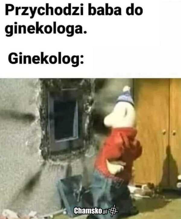 U ginekologa
