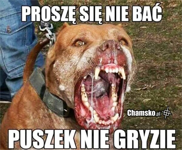 Puszek