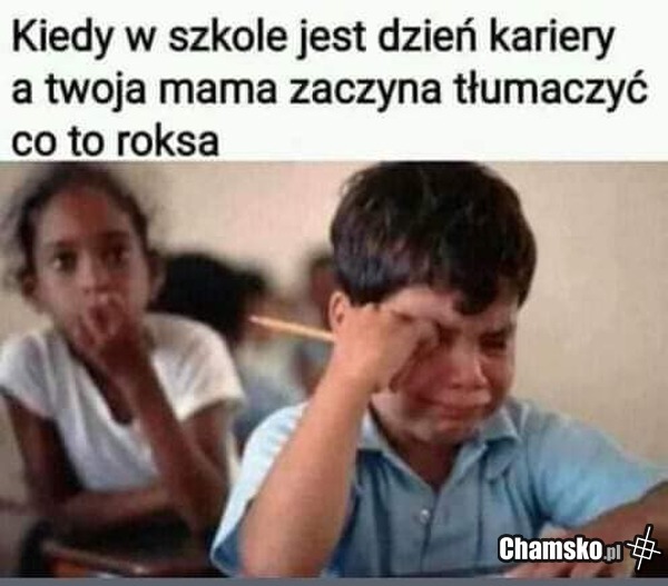 Dzień kariery