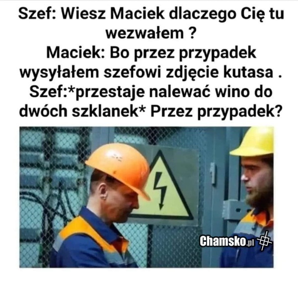 Przypadek