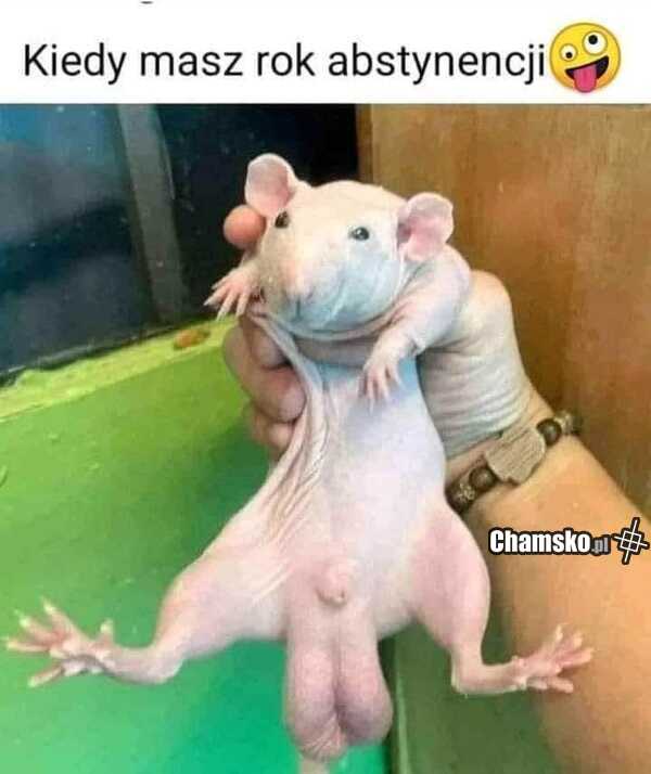 Po roku celibatu