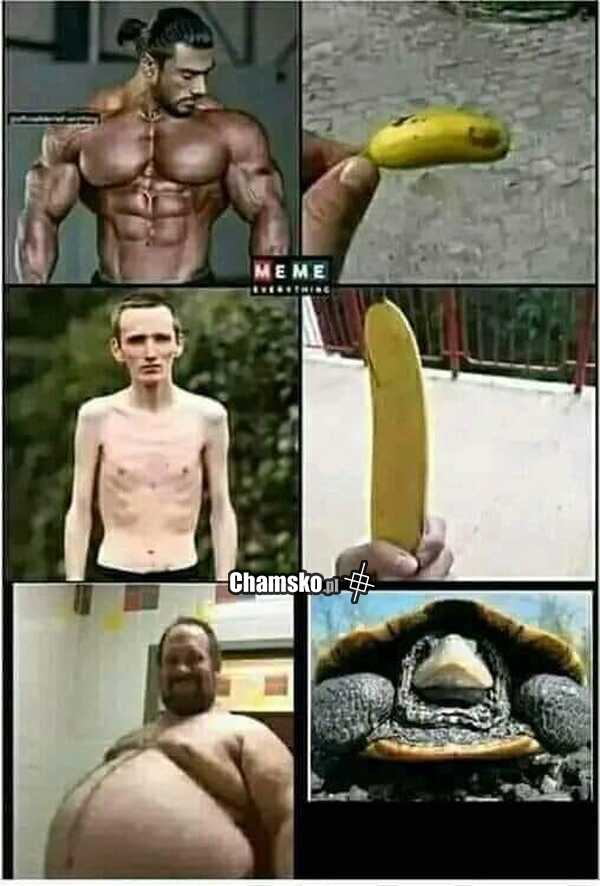 Porównywanie