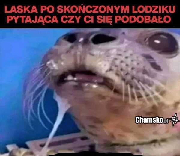 Podobało Ci się?