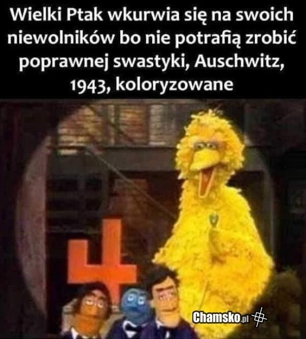 Cieżko o dobrych niewloników