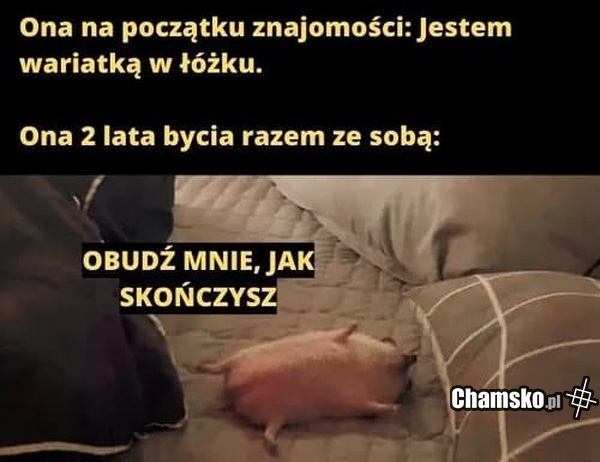 Wariatka w łóźku