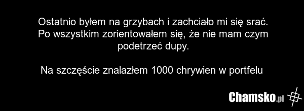 Ostatnio byłem na grzybach i zachciało mi się srać. Po wszystkim zorientowałem się, że nie mam czym podetrzeć dupy. Na szczęście znalazłem 1000 chrywien w portfelu