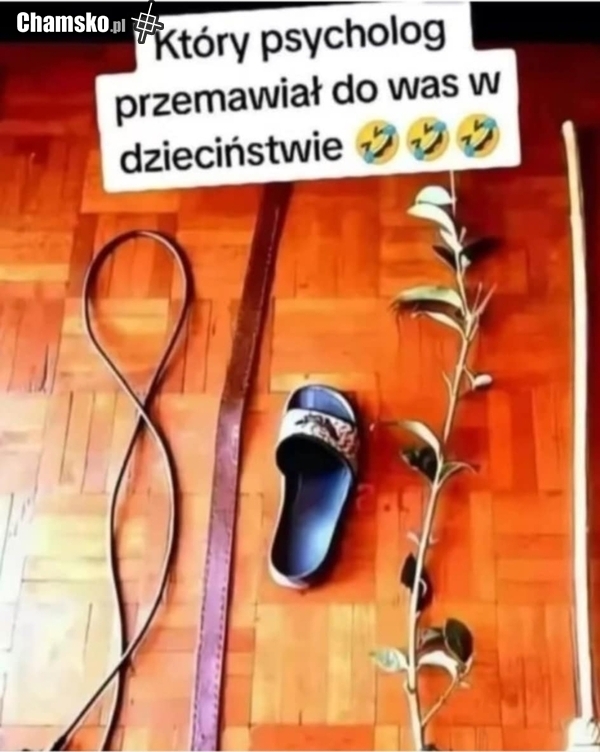 Różne szkoly psychoterapii.
