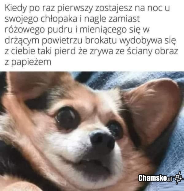 Pierwsza wspólna noc