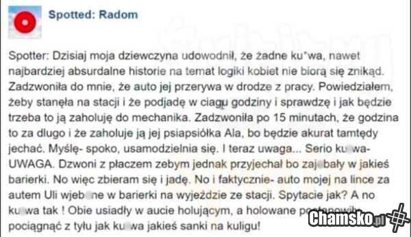 Logika babek