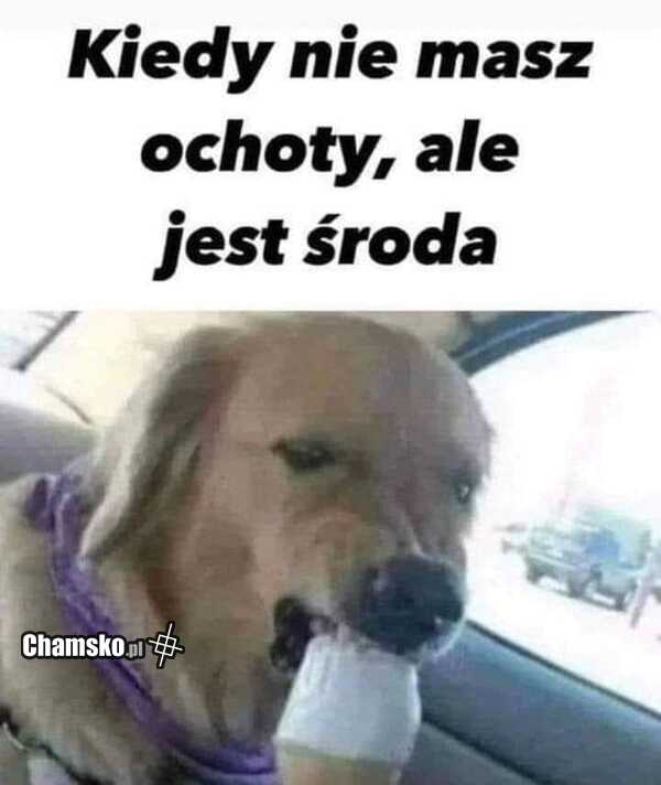 Środa