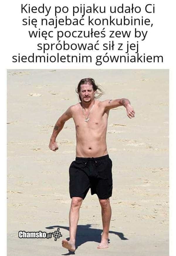Zew