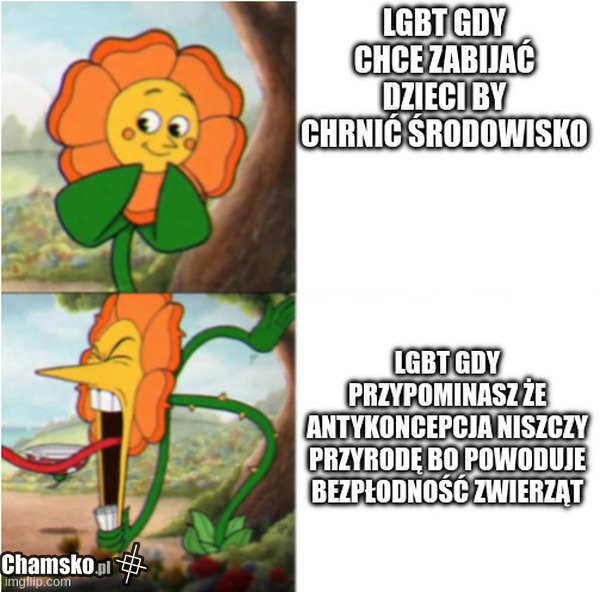 Lgbt logika