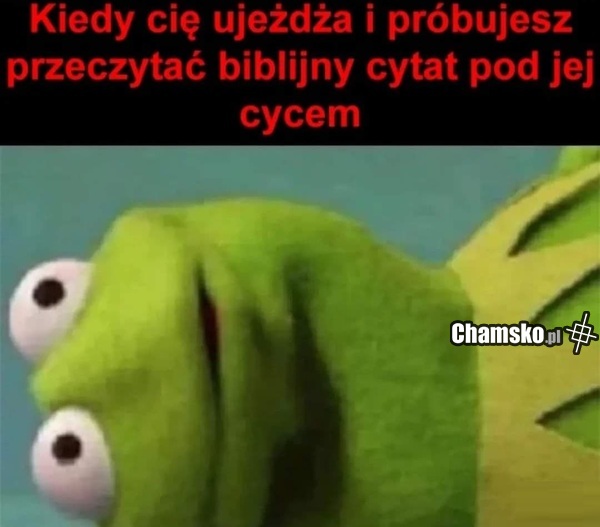 Ujeżdżanie