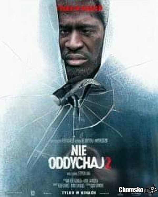Już w kinach