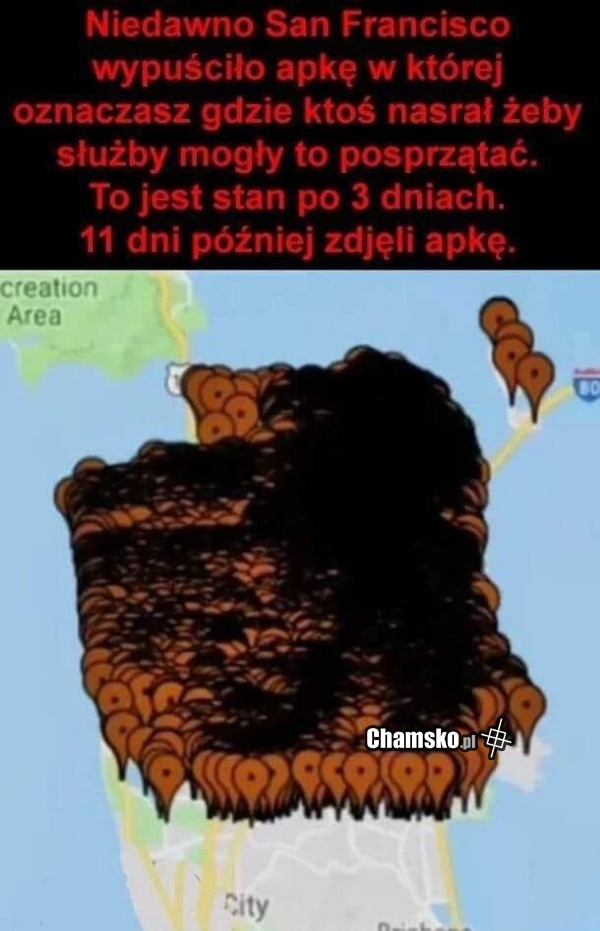Gdzie nasrane?