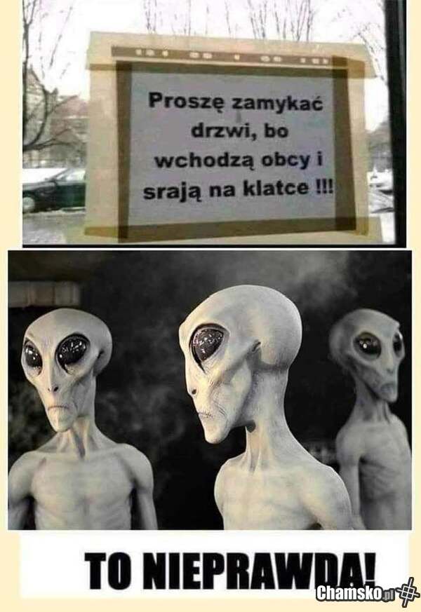 Nie prawda