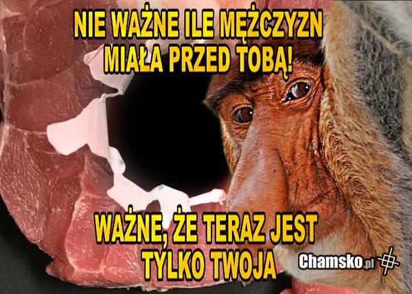 Nieważna jest historia