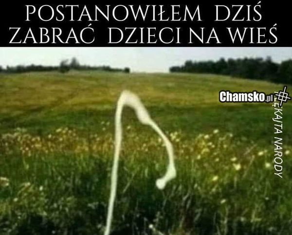 Spacer