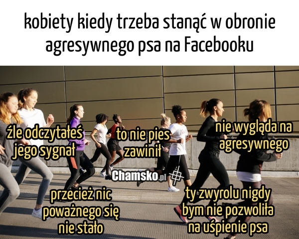 Psiarki na fejsie