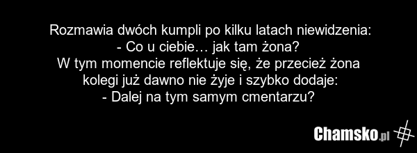 Rozmawia dwóch kumpli po kilku latach niewidzenia: - Co u ciebie… jak tam żona? W tym momencie reflektuje się, że przecież żona kolegi już dawno nie żyje i szybko dodaje: - Dalej na tym samym cmentarzu?