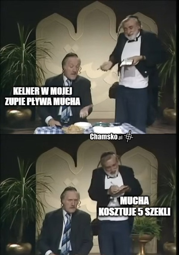 Mucha w zupie