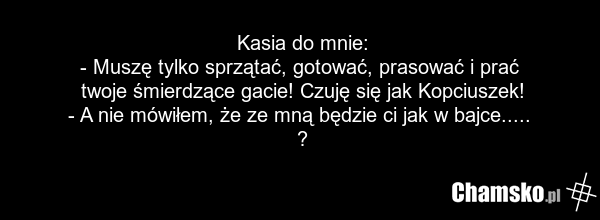 Kasia do mnie: - Muszę tylko sprzątać, gotować, prasować i prać twoje śmierdzące gacie! Czuję się jak Kopciuszek! - A nie mówiłem, że ze mną będzie ci jak w bajce..... ?