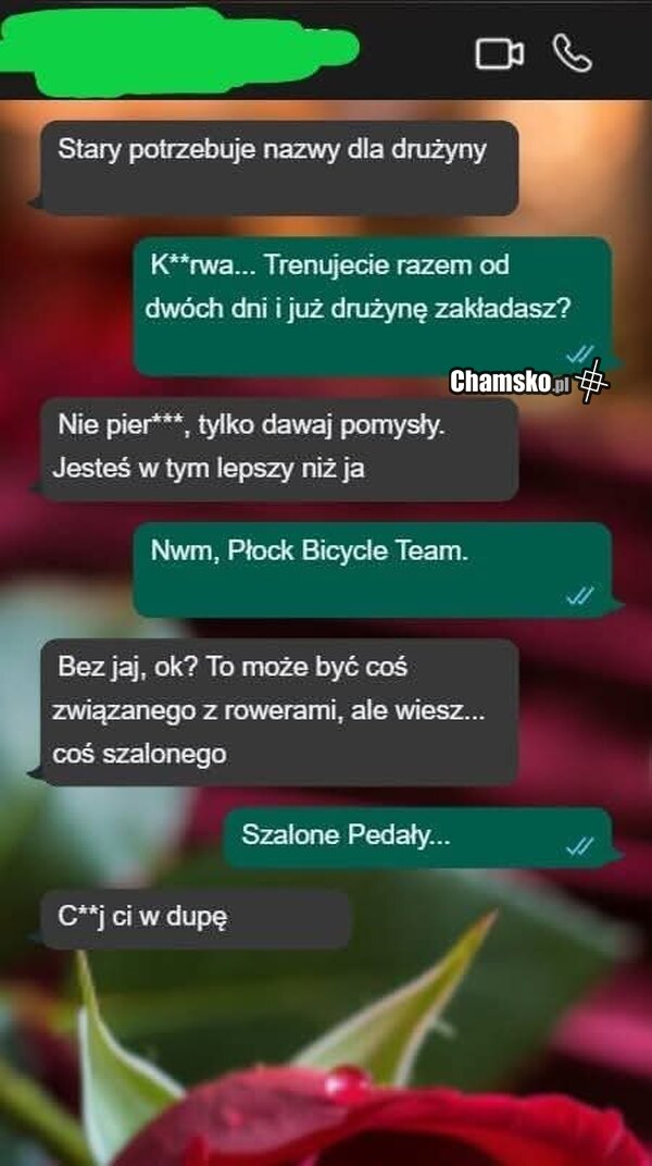 Nazwa dla drużyny