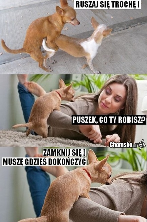 Puszek