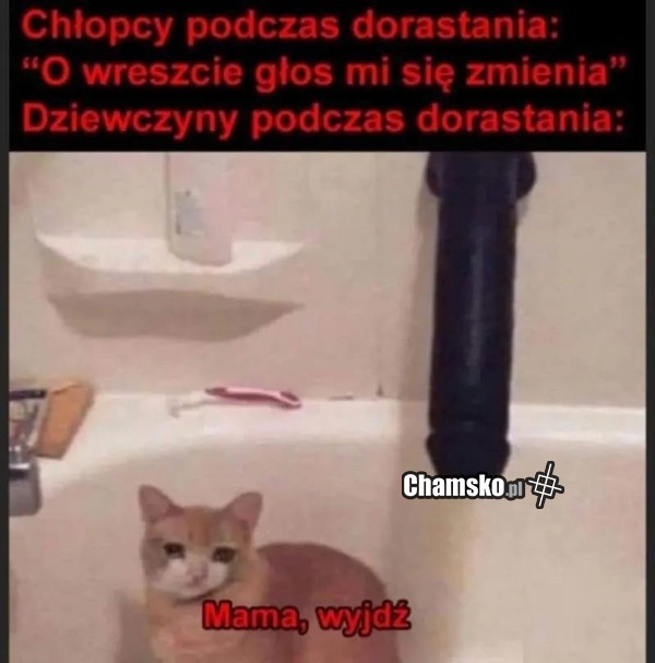 Dorastanie