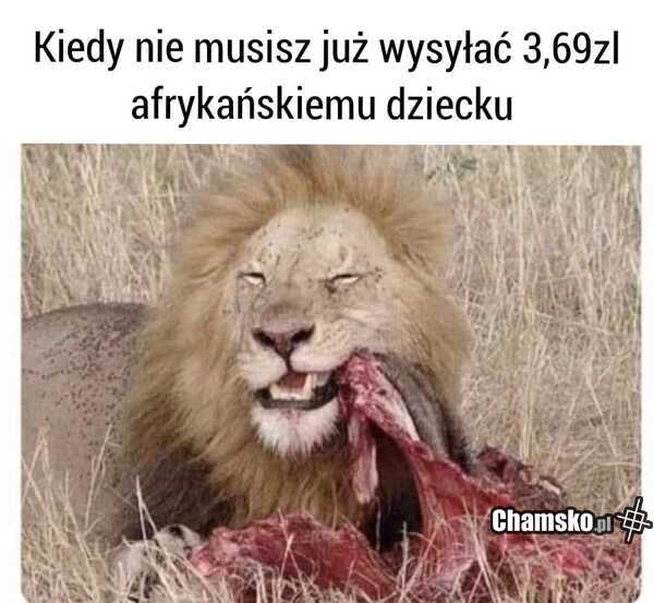 Pomoc Afryce