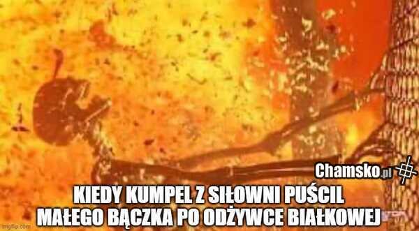 Bąk po odżywce