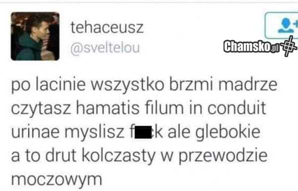 Łacina