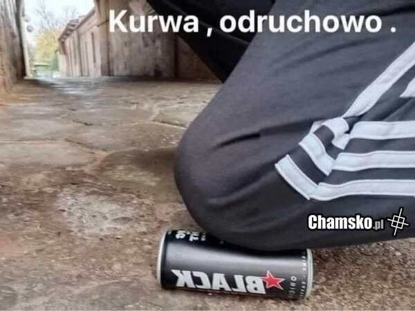 Odruch