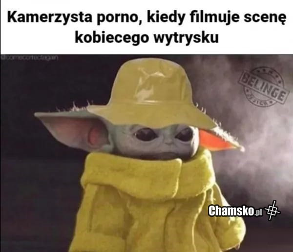 Kamerzysta