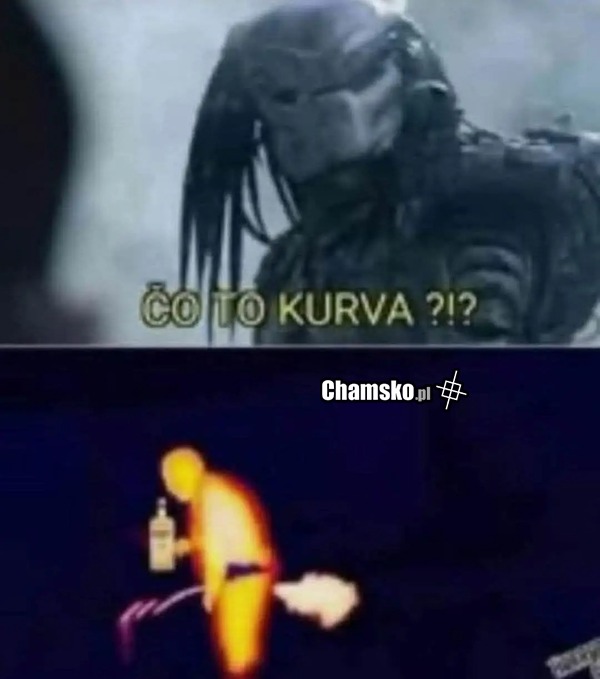 Predator