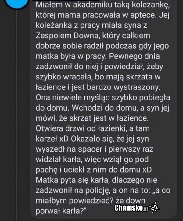 Skrzat