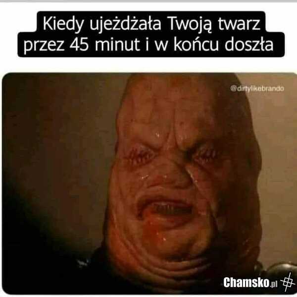 Ujeżdżanie