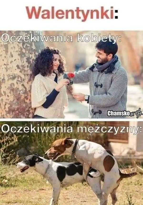 Oczekiwania
