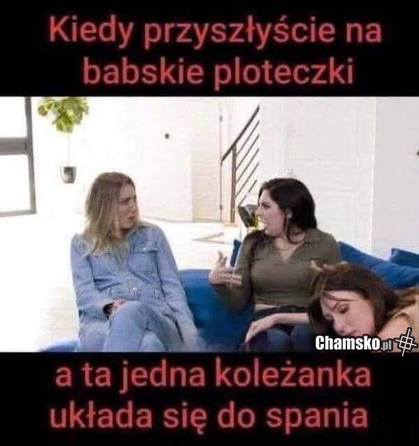 Ploteczki