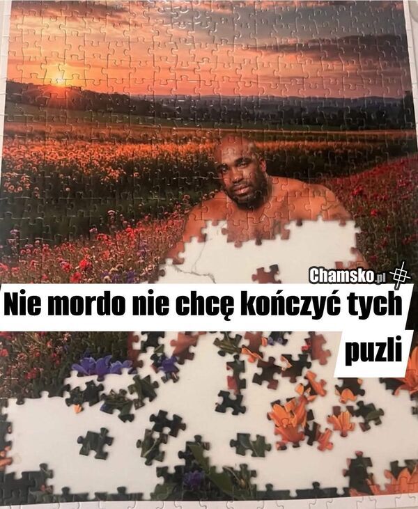 Dokończysz puzzle?