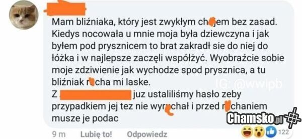 Bliźniak