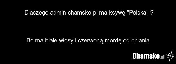 Dlaczego admin chamsko.pl ma ksywę "Polska" ? Bo ma białe włosy i czerwoną mordę od chlania