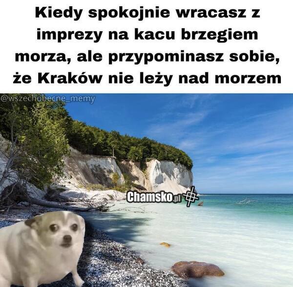 Powrót z imprezy