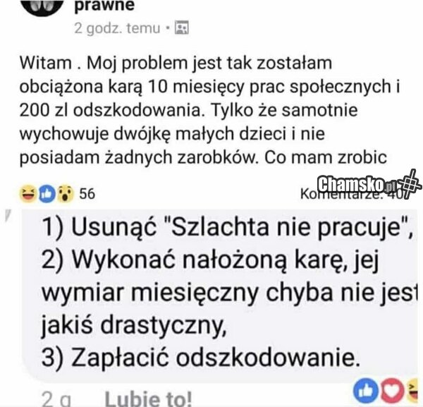Prace społeczne