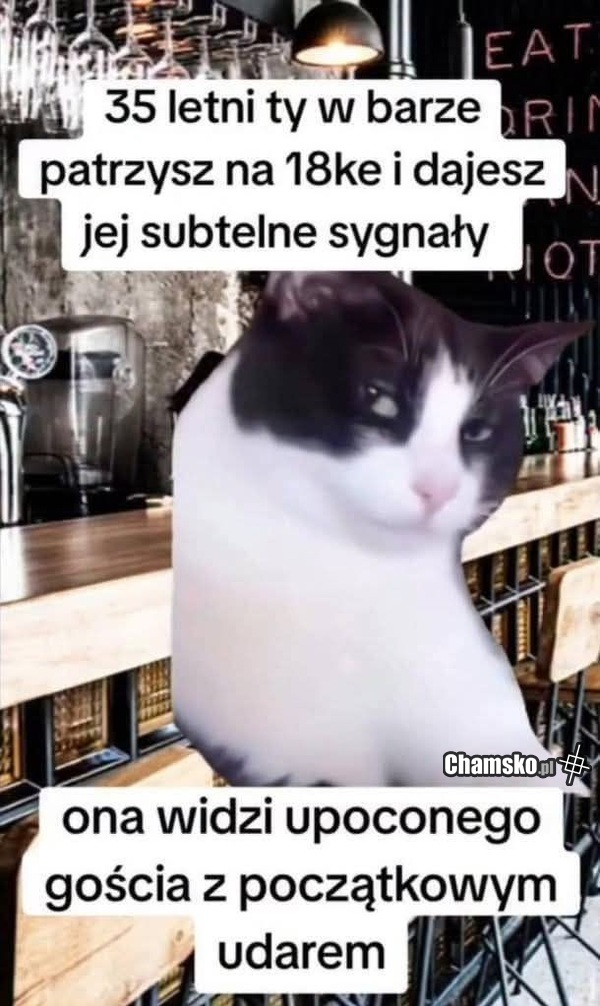 Podryw